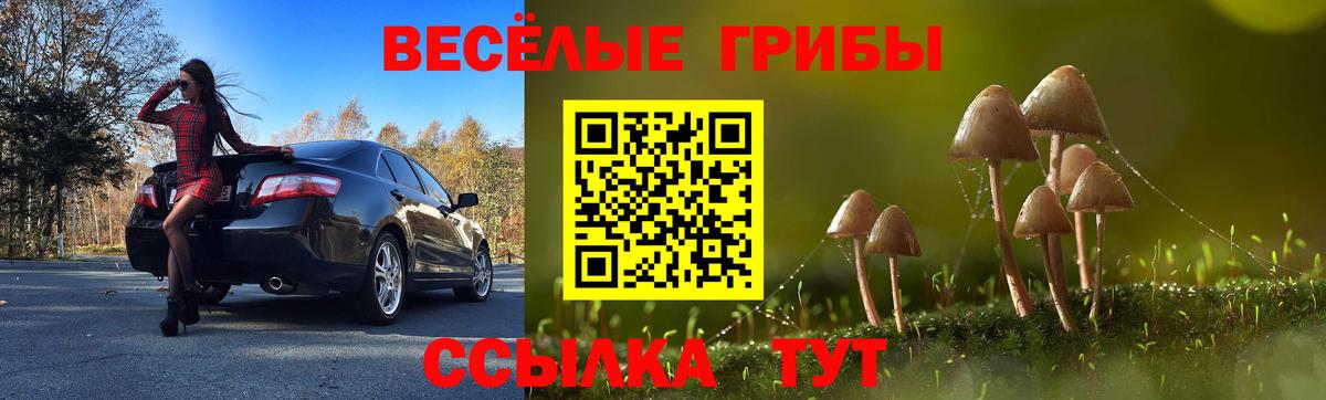 Галлюциногенные грибы ЛСД Усолье-Сибирское